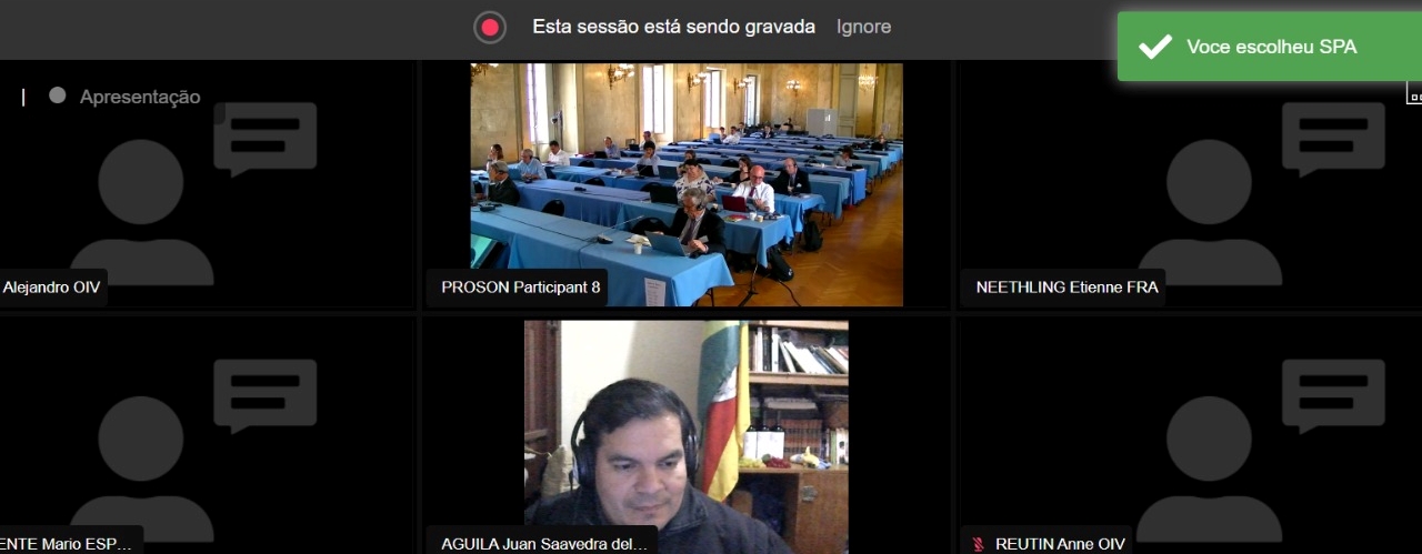 Professores da Unipampa participam a distância de reuniões da Organização Internacional da Uva e do Vinho Captura de tela com reunião virtual da OIV com imagem dos participantes presenciais e do professor Juan Saavedra