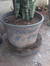 Cuidado com os vasos no Campus Jaguarão Cuidado com os vasos no Campus Jaguarão