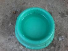 Limpeza dos recipientes de alimentação de animais no Campus Jaguarão Limpeza dos recipientes de alimentação de animais no Campus Jaguarão