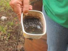 Descarte de pontos de água parada - Campus Uruguiaiana Descarte de pontos de água parada - Campus Uruguiaiana